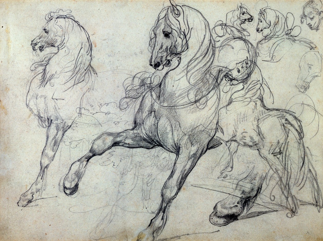 خيل بواسطة ثيودور جيريكولت