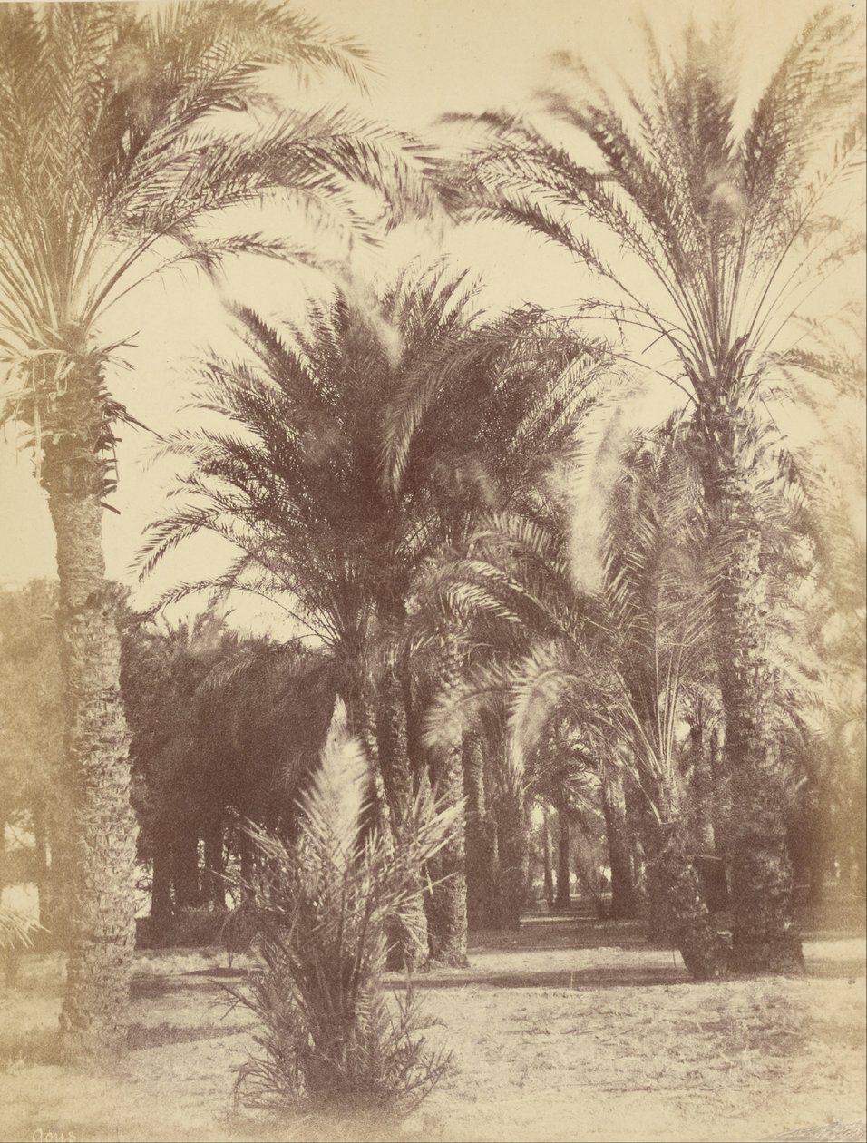 جوس بواسطة Théodule Devéria