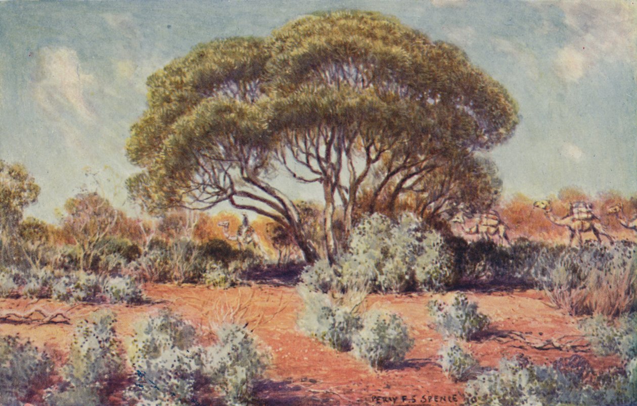 بقعة خصبة في وسط أستراليا ، 1923. بواسطة غير معروف
