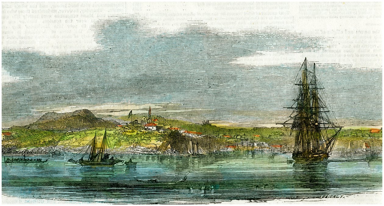 أوكلاند ، نيوزيلندا ، c1880 بواسطة غير معروف