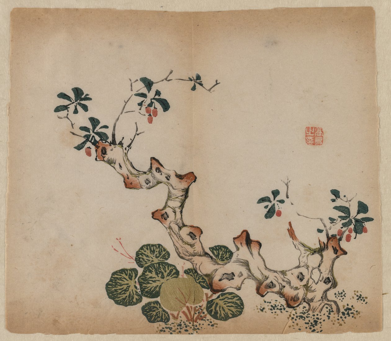 جدعة متفرعة ، 1368-1644. بواسطة غير معروف