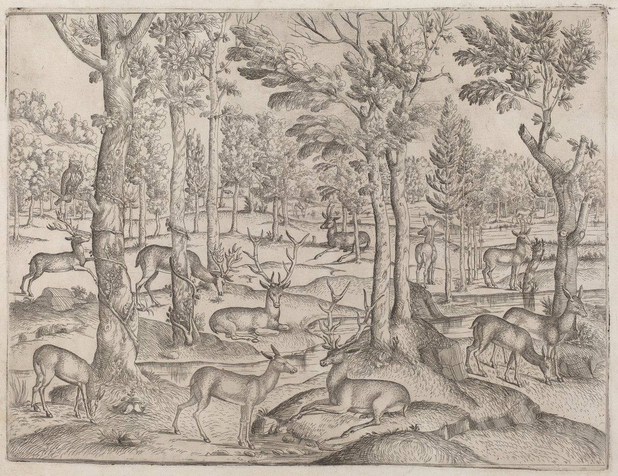 الغزلان في الغابة ، ج. 1520. بواسطة غير معروف