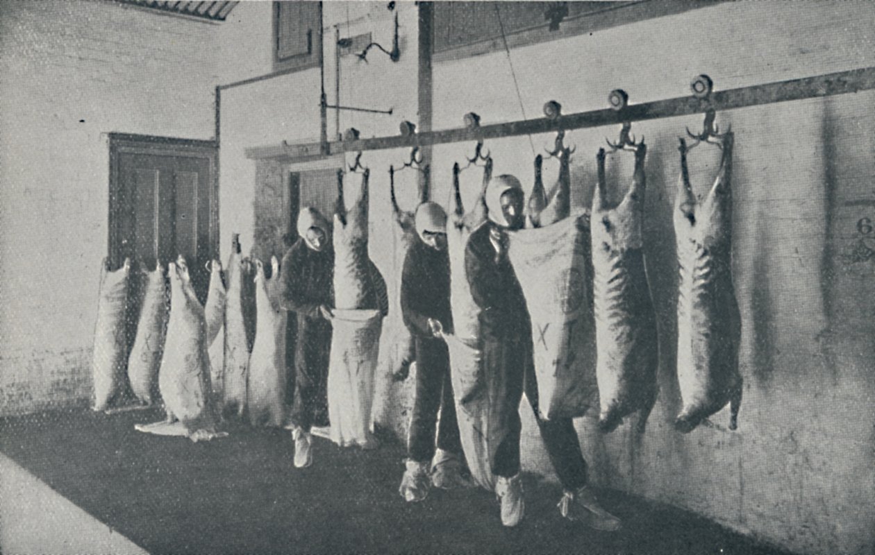 اللحوم المجمدة ، 1910 بواسطة غير معروف