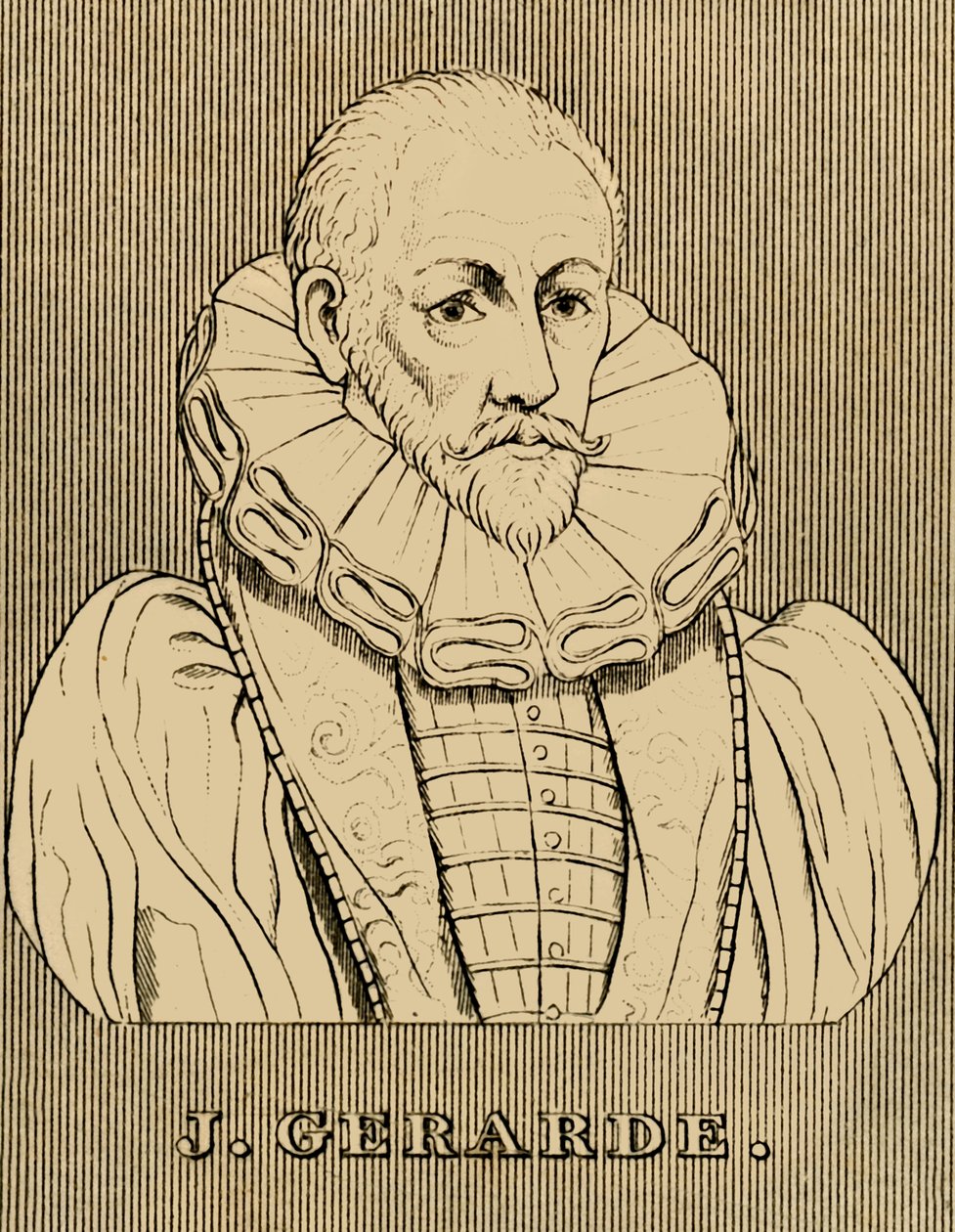 جيه جيرار ، c1545-1612 ، 1830. بواسطة غير معروف
