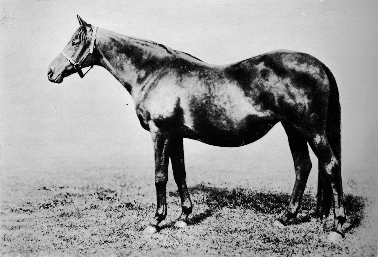 لا فليش ، 1889-1911 ، 1911 بواسطة غير معروف