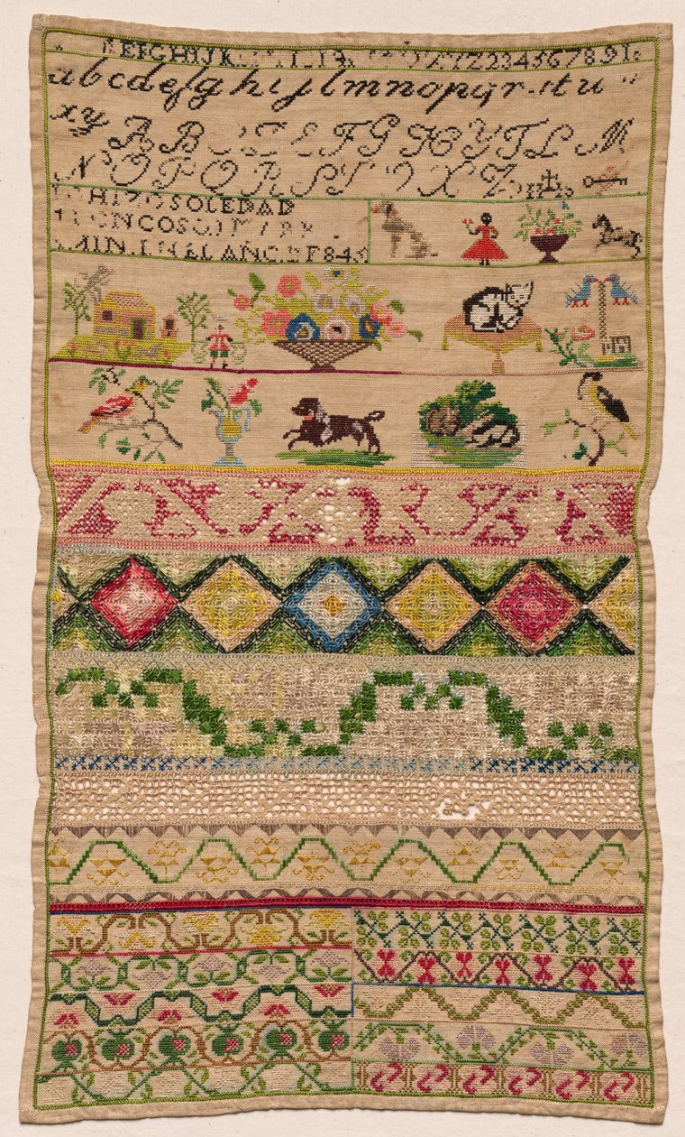 عينات طويلة ، 1845. بواسطة غير معروف