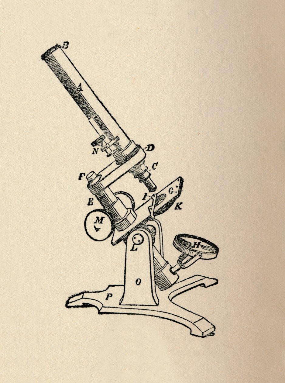 مجهر 1912 بواسطة غير معروف