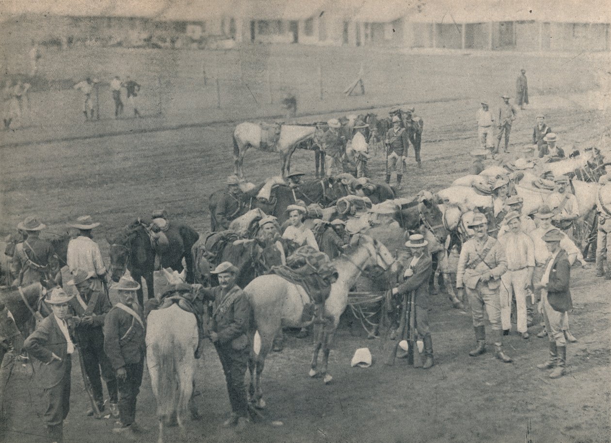 حصان بلومرز ، c1900. بواسطة غير معروف