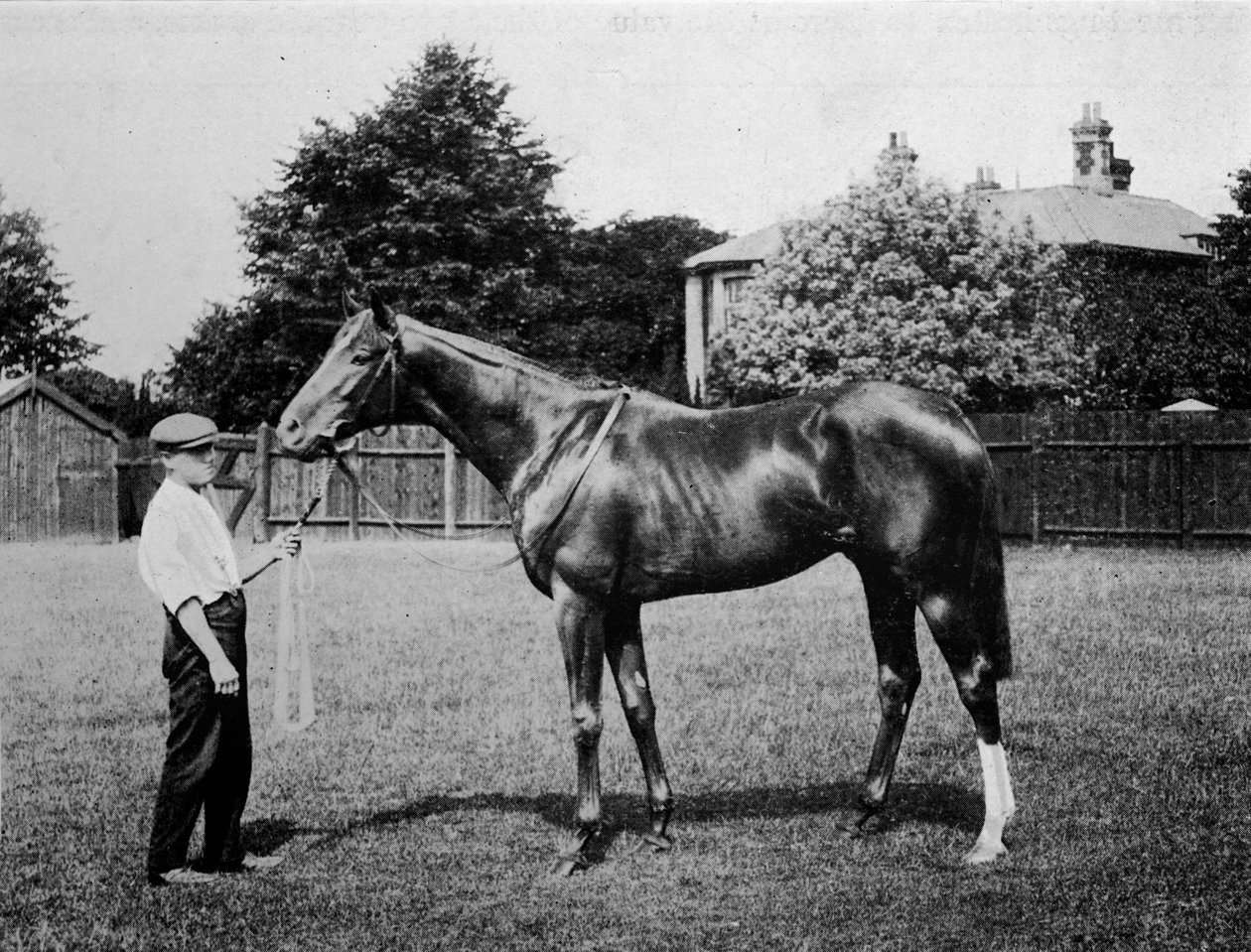 النجم القطبي ، 1911 بواسطة غير معروف