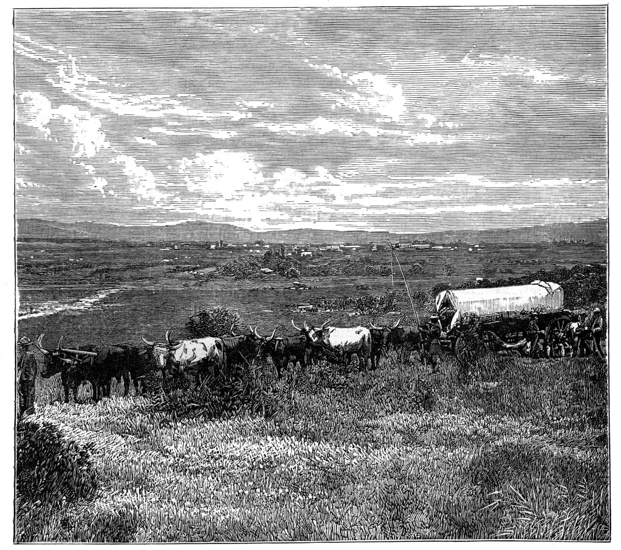 بريتوريا ، جنوب أفريقيا ، c1890 بواسطة غير معروف