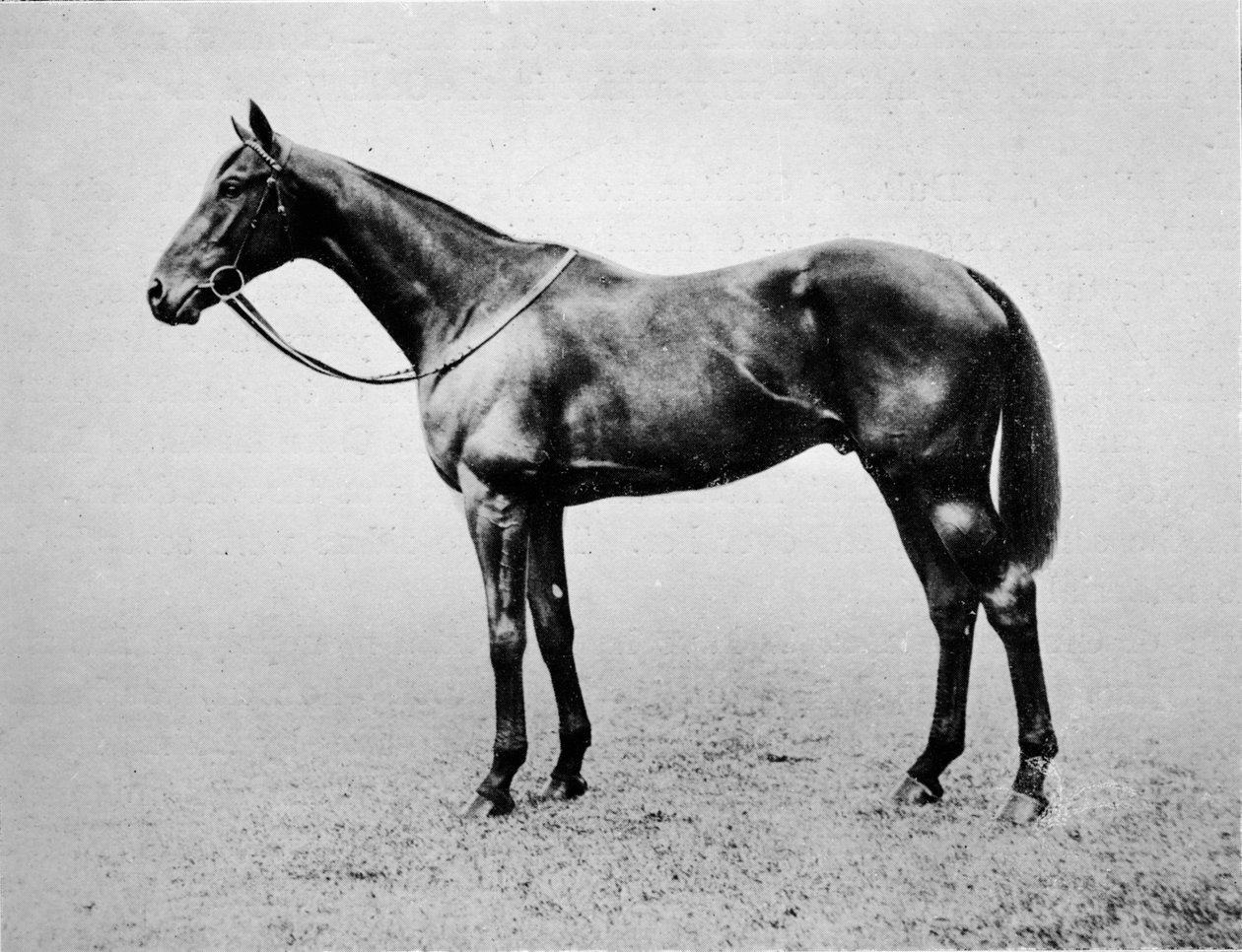 سوينفورد ، 1907-1928 ، 1911 بواسطة غير معروف