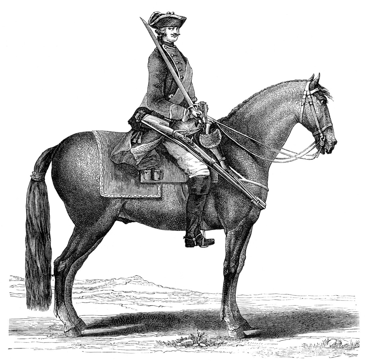 المتعجرف ، 1885 بواسطة غير معروف
