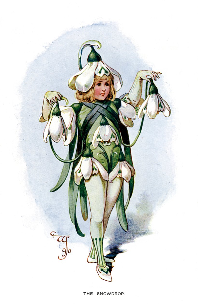 Snowdrop ، 1899 بواسطة غير معروف