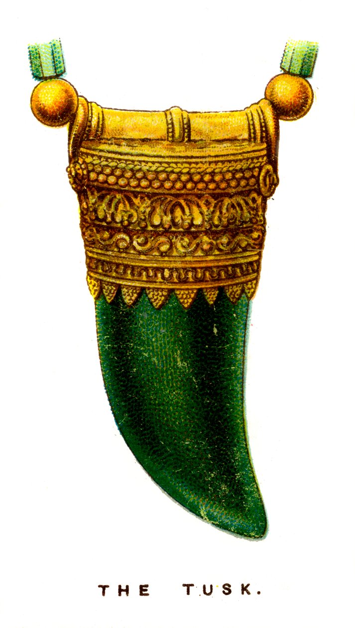 الناب ، 1923 بواسطة غير معروف