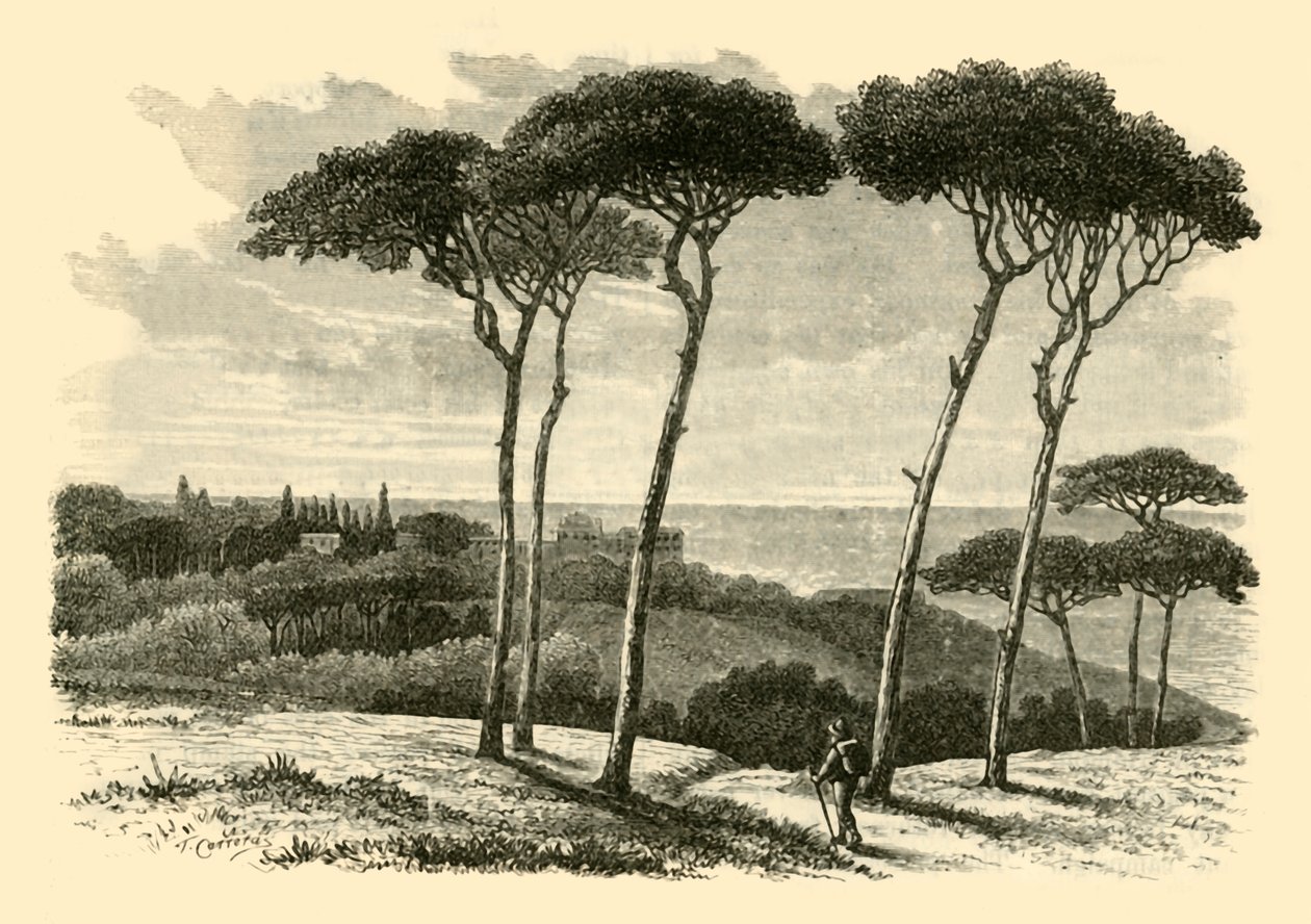 Tusculum ، 1890. بواسطة غير معروف