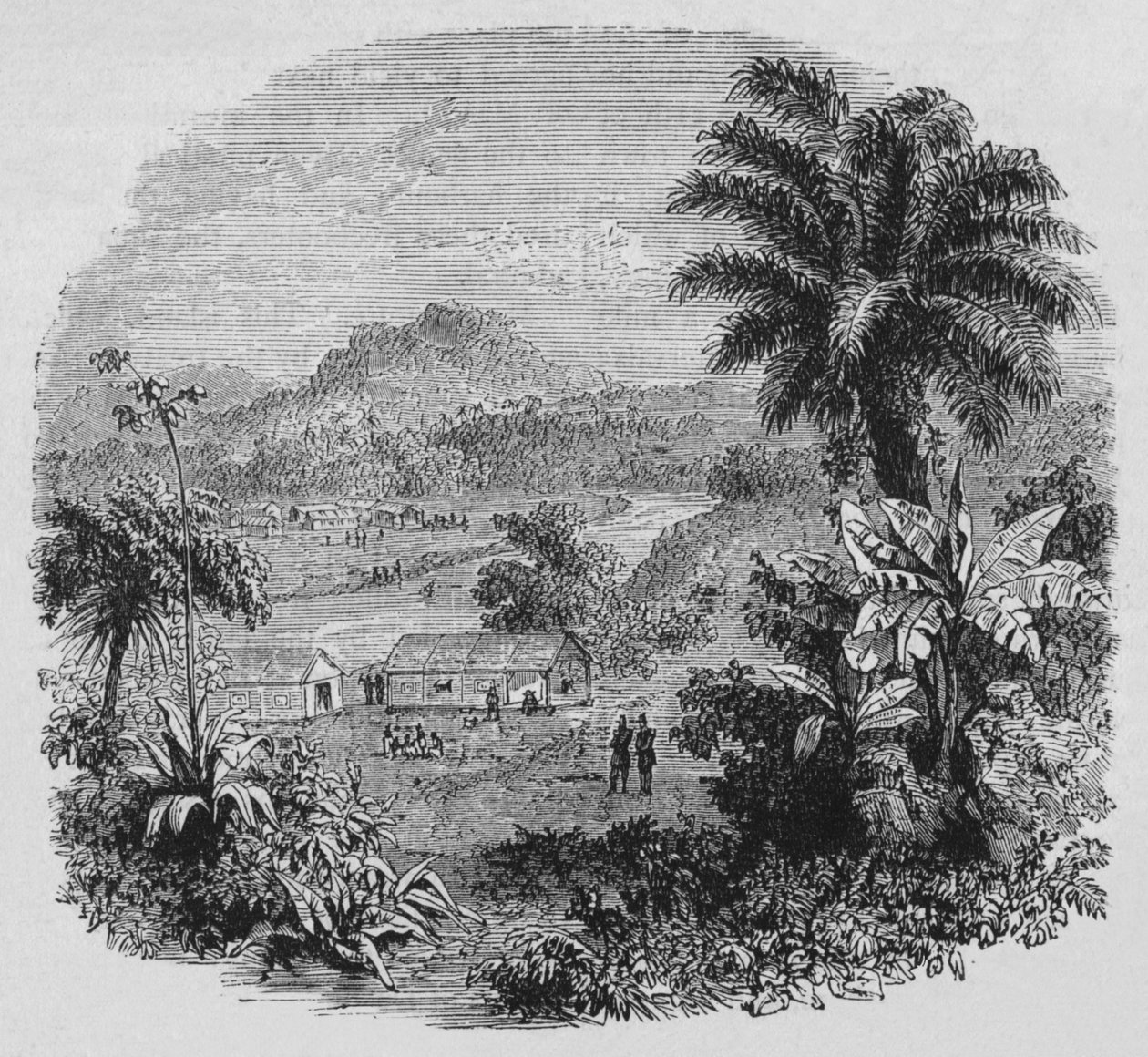 عرض في كاين ، c1880 بواسطة غير معروف