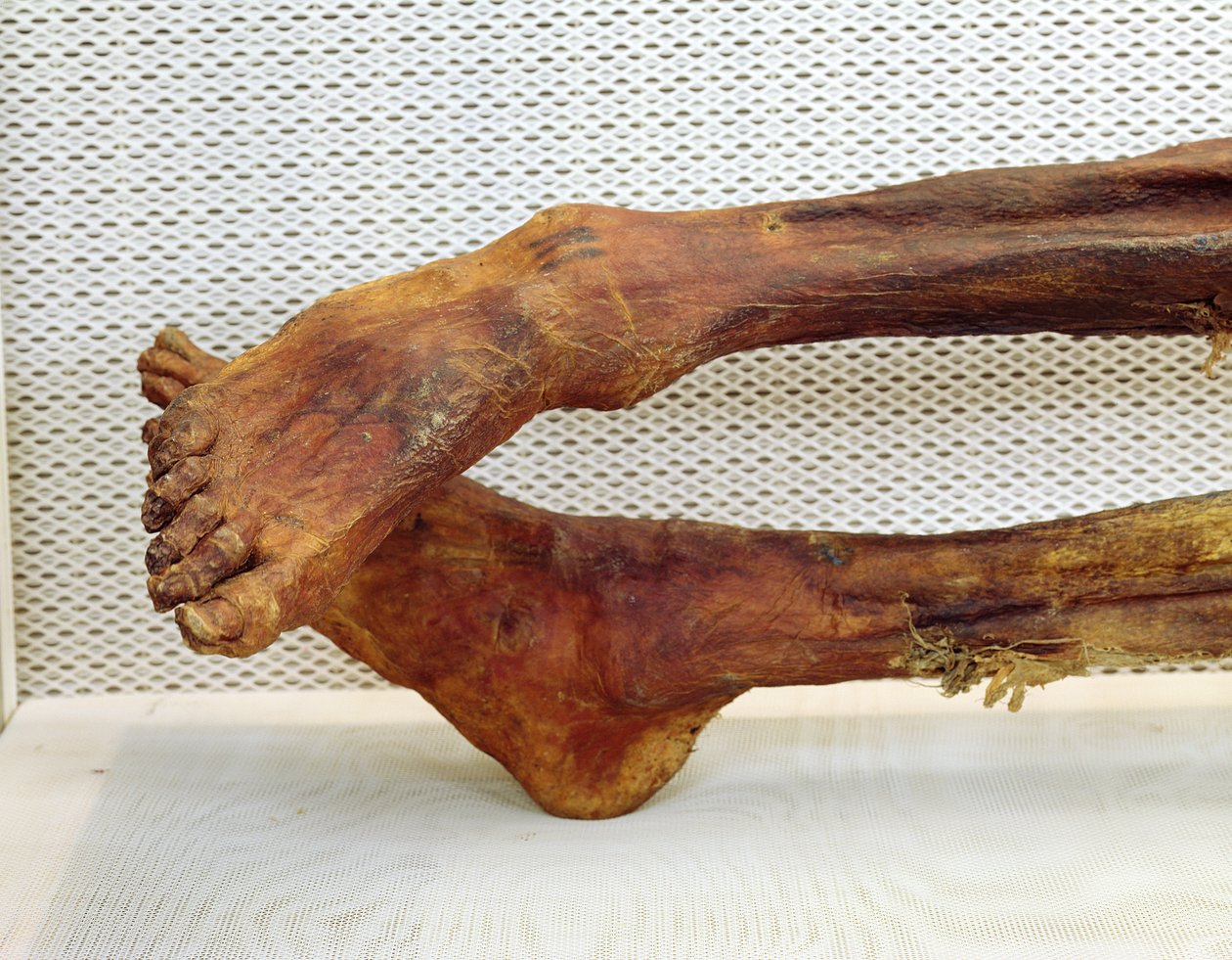 The Oetzi Iceman بواسطة غير معروف غير معروف