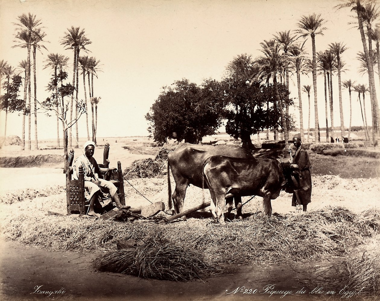  بواسطة فنان غير معروف