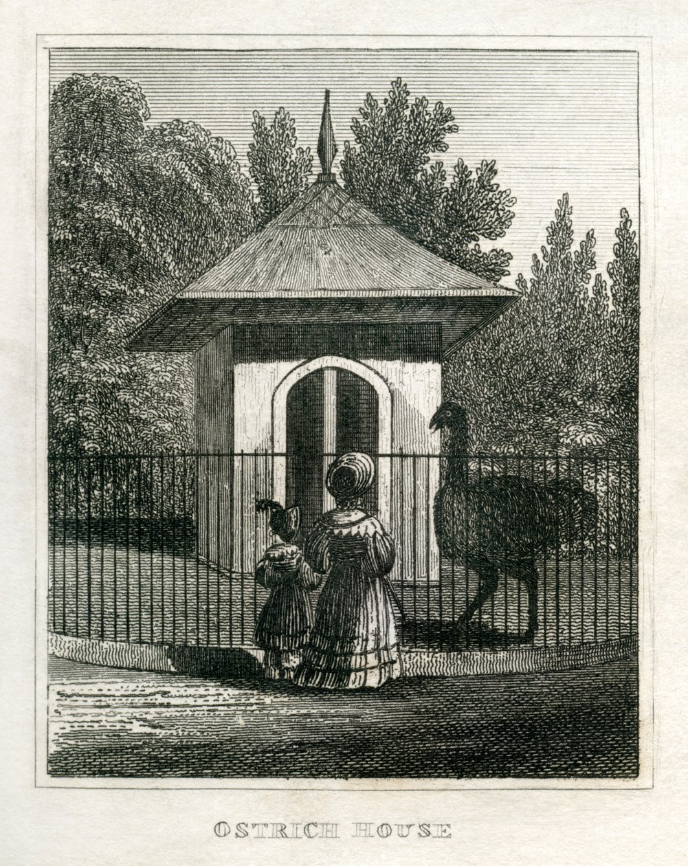 Regent