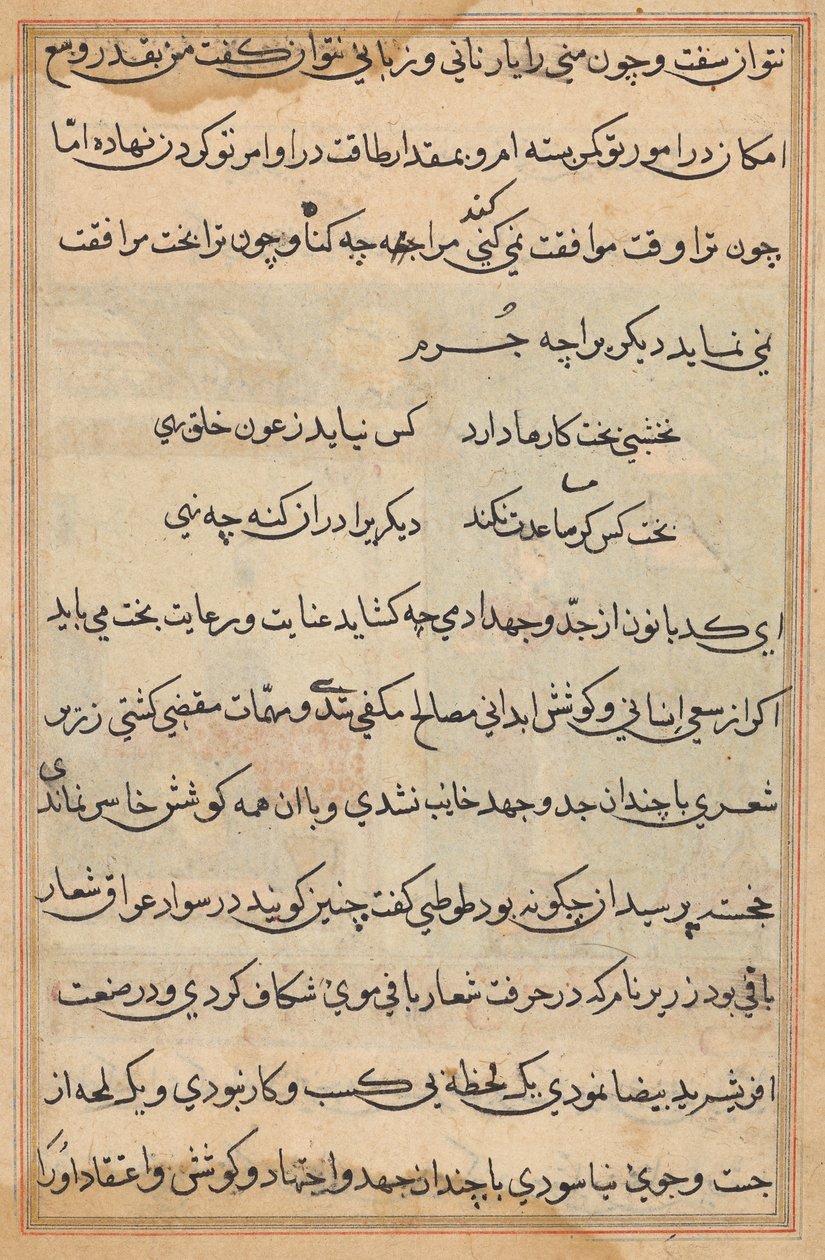 توتي ناما (حكايات ببغاء) بواسطة فنان غير معروف