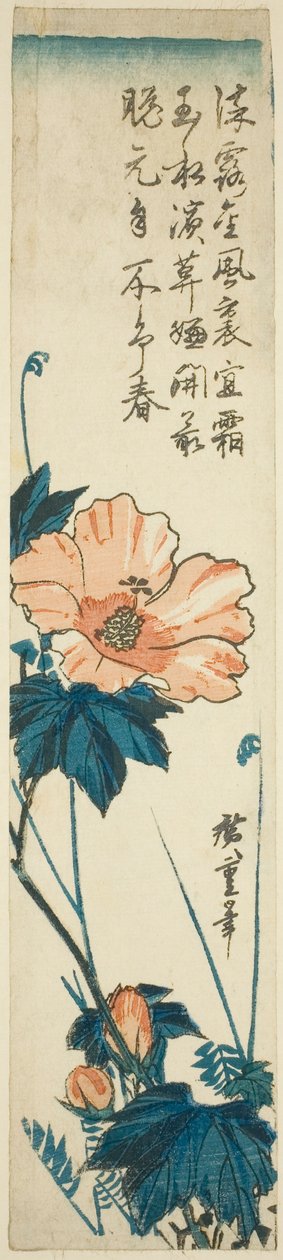 كركديه بواسطة Utagawa Hiroshige