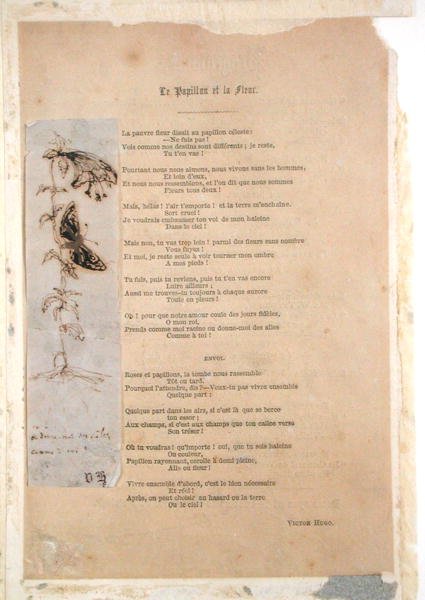 Le Papillon et la Fleur ، قصيدة مع توضيح للفراشات من Les Chants du Crepuscule بواسطة فيكتور هوغو