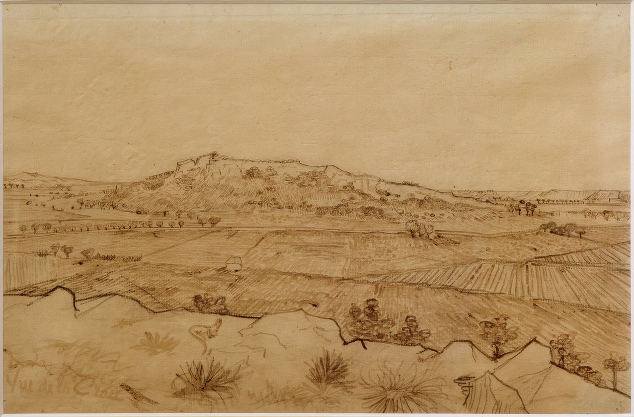 عرض Crau بواسطة فنسنت فان جوخ