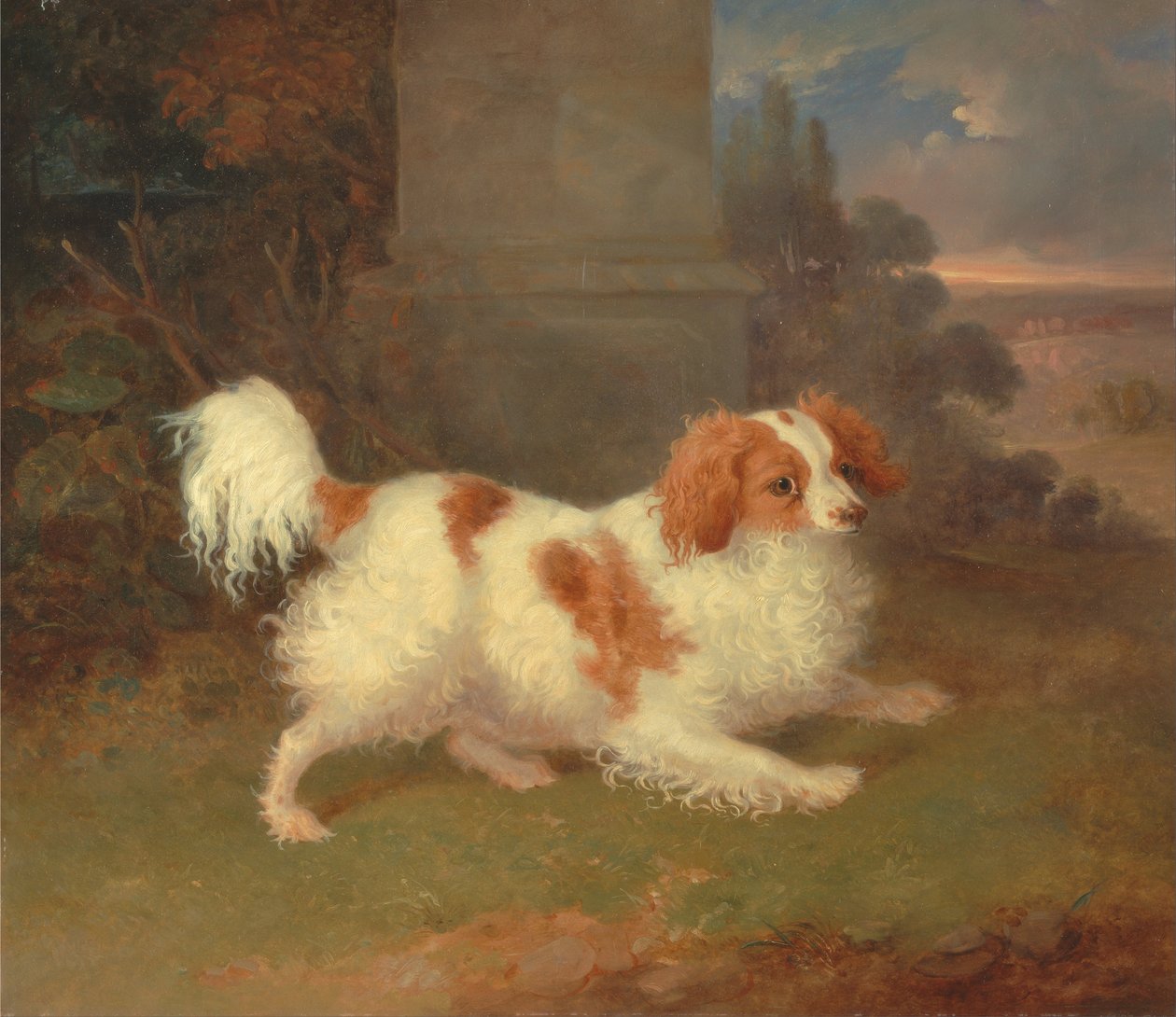 A Blenheim Spaniel بواسطة وليام ويب