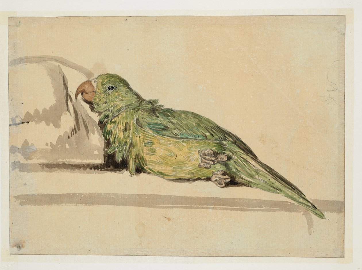 ويسترن ديجيتال 961 f.4v بواسطة وليام الكسندر