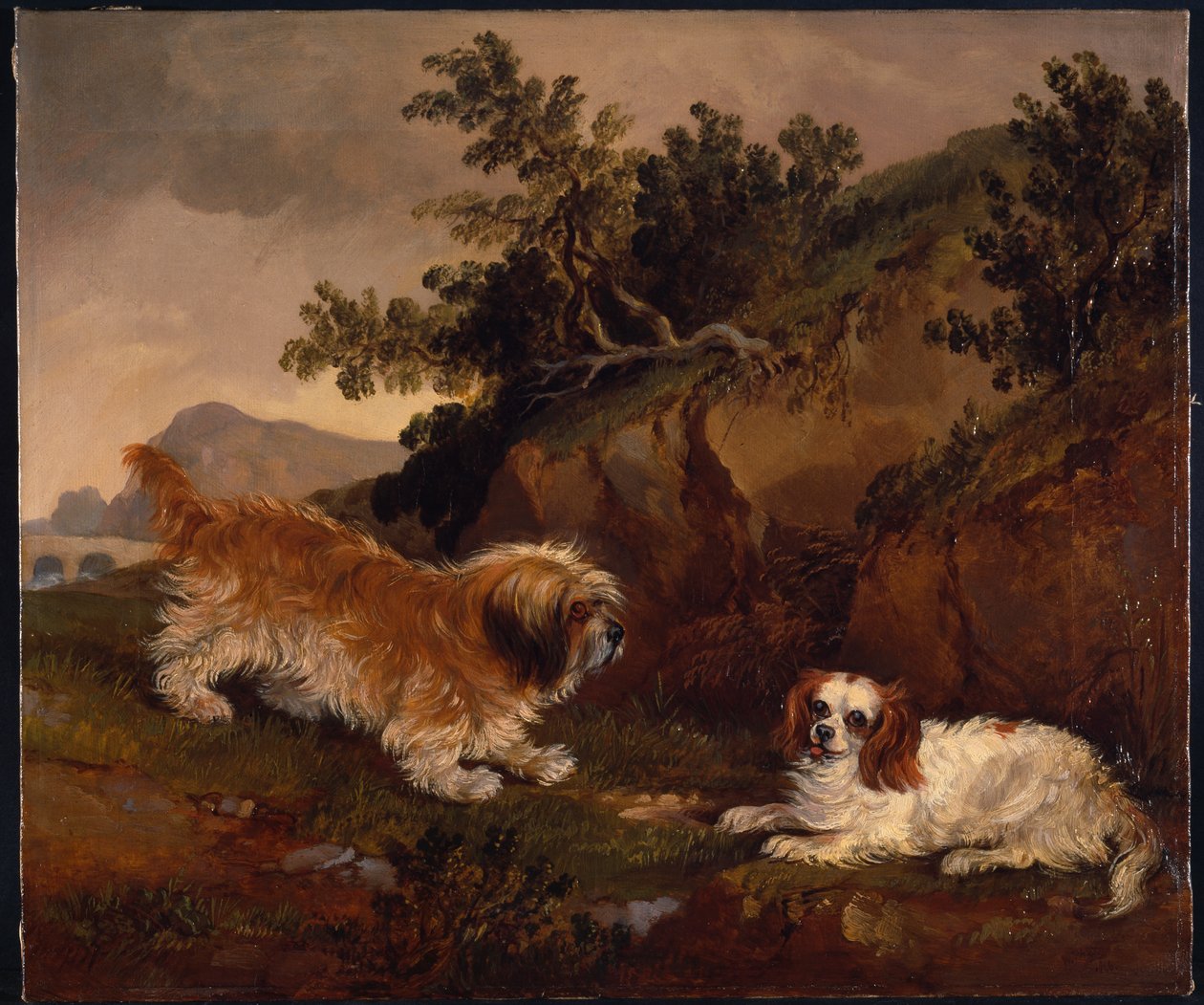 Landscape with spaniel and terrier بواسطة وليام باسكو