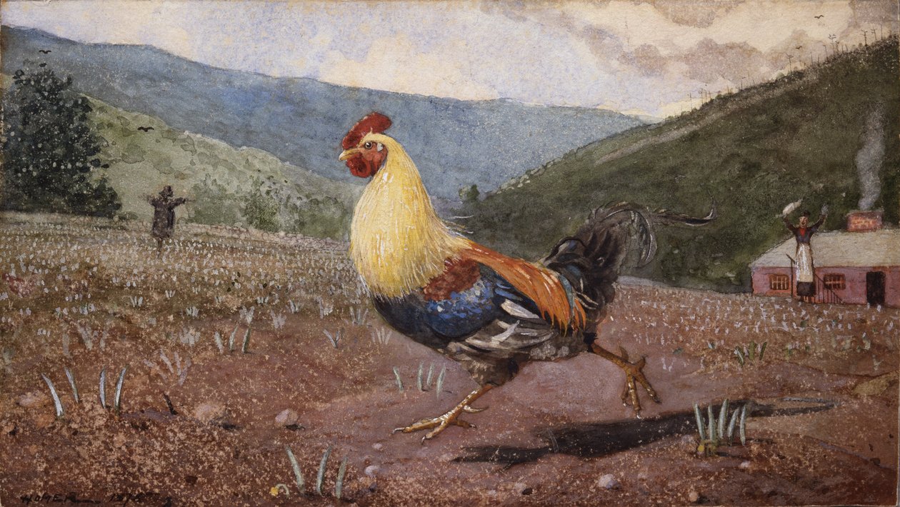 الديك ، 1876 بواسطة وينسلو هومر
