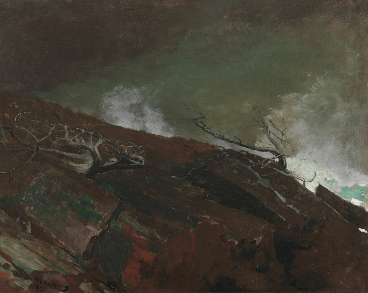 ساحل مين 1893. بواسطة وينسلو هومر
