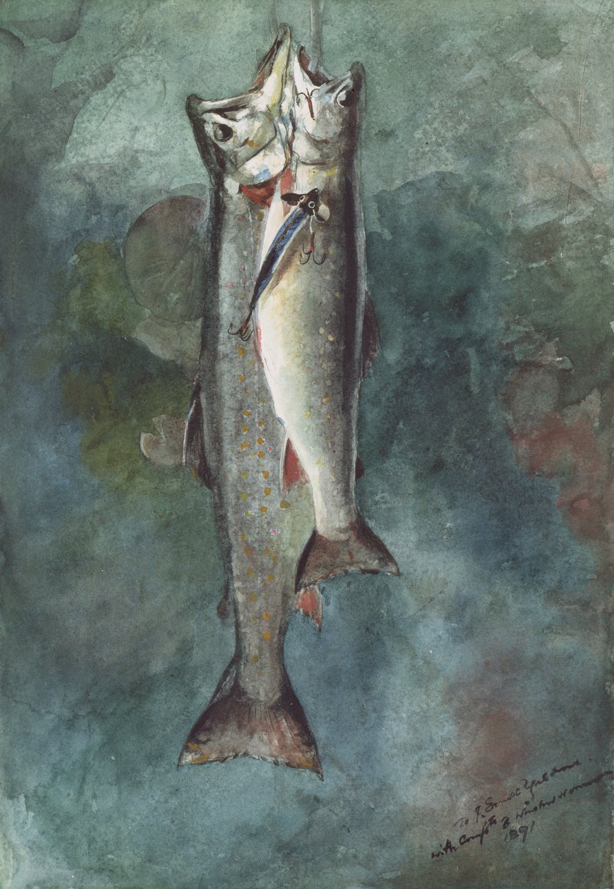Two Trout ، 1891 (مرحاض على ورق) بواسطة وينسلو هومر