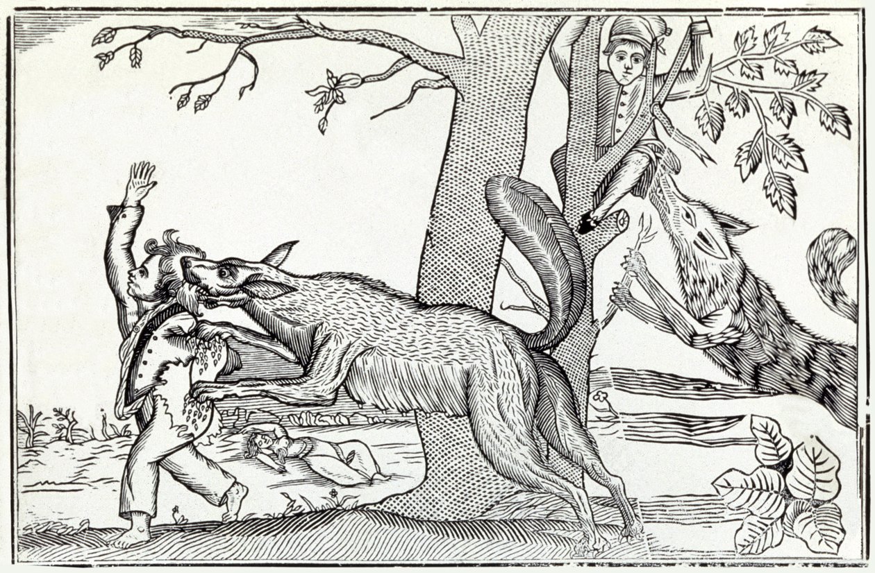 الذئب حوالي 1820 (نقش) بواسطة . .