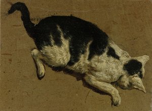 القط من فوق (رسم الفرشاة)