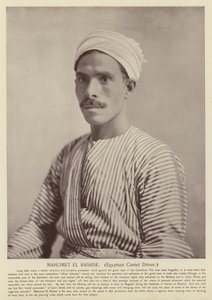 محمد الباشى سائق الجمال المصري