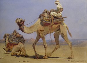 الجمل يستعد للاستلقاء ، 1858