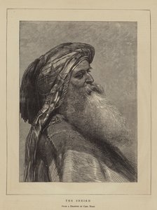 الشيخ
