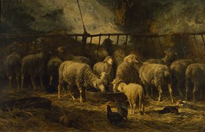 الخرفان الكبيرة ، 1881