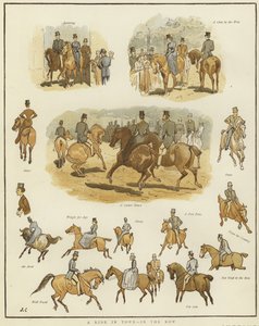 اسكتشات على ظهور الخيل