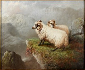 خروف على حافة الهاوية ، c.1865-68