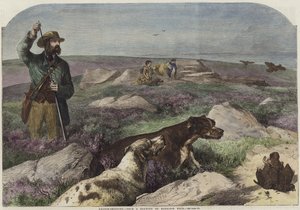 اطلاق النار على طائر