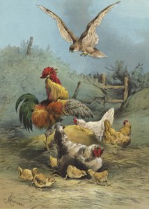 الصقر في ساحة الدواجن (chromolitho)
