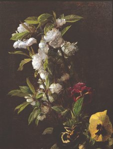 زهور ، 1876