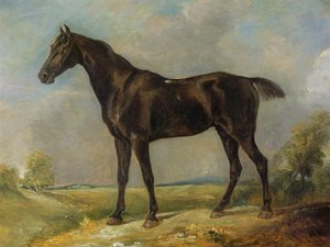 الحصان الأسود لركوب الخيل في Golding Constable ، c.1805-10