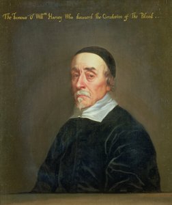 صورة ويليام هارفي (1578-1657)