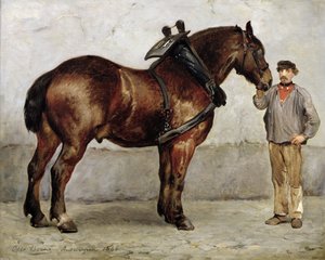 حصان العمل ، 1866
