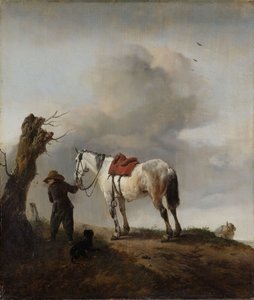 الحصان الرمادي ، حوالي 1646