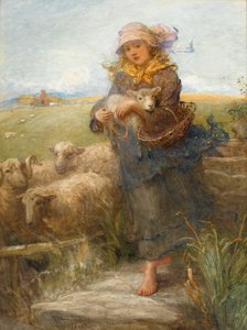 الراعية (مرحاض على ورق)