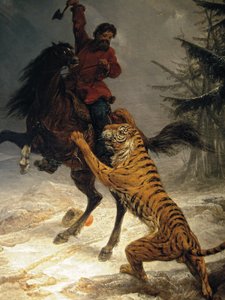 النمر السيبيري يهاجم القوزاق